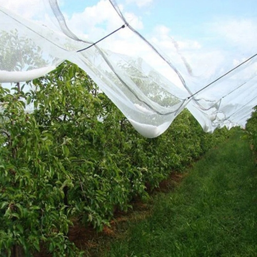 Efectul plasei de grindină asupra agriculturii