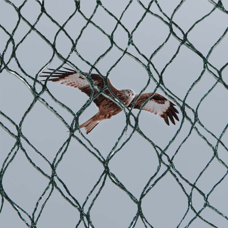 Care sunt alegerile materiale și avantajele și dezavantajele plaselor de prevenire a păsărilor?