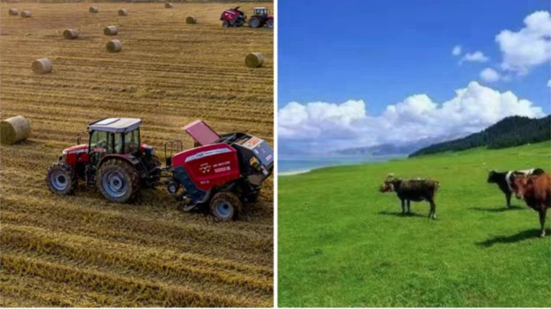 Aplicarea învelișului de plasă de baloturi în activități agricole