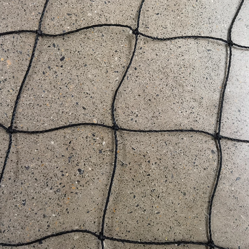 Rolul plaselor de cricket