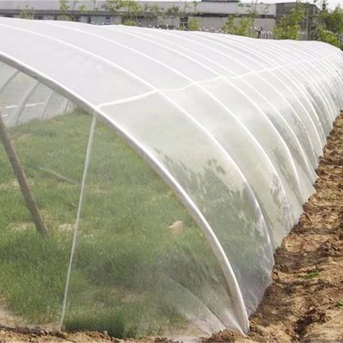 Plasa anti-insecte – Protejeaza-ti casa si gradina!