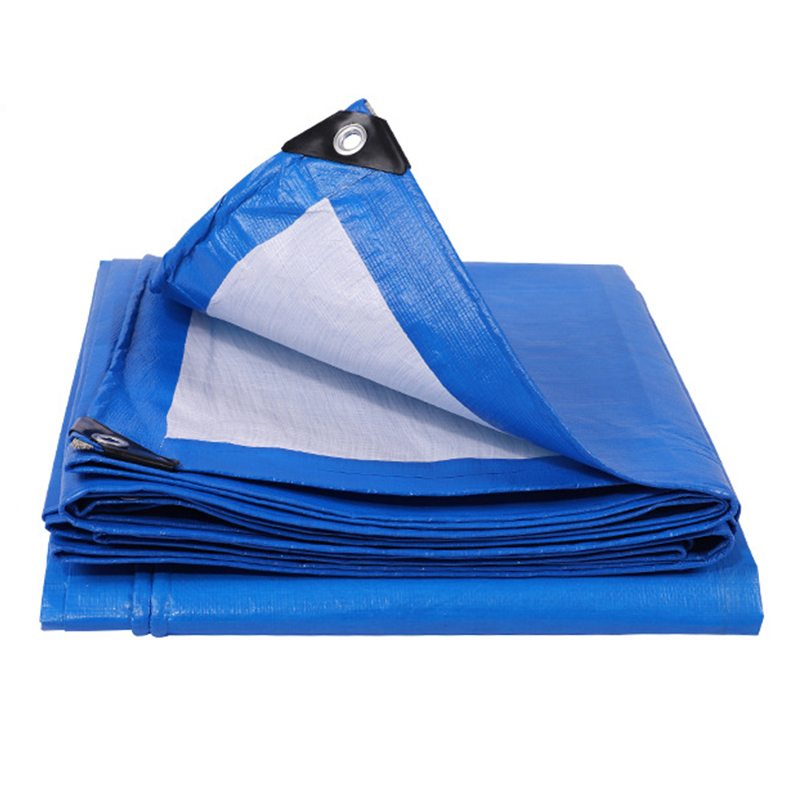 Este prelata PE suficient de puternică?