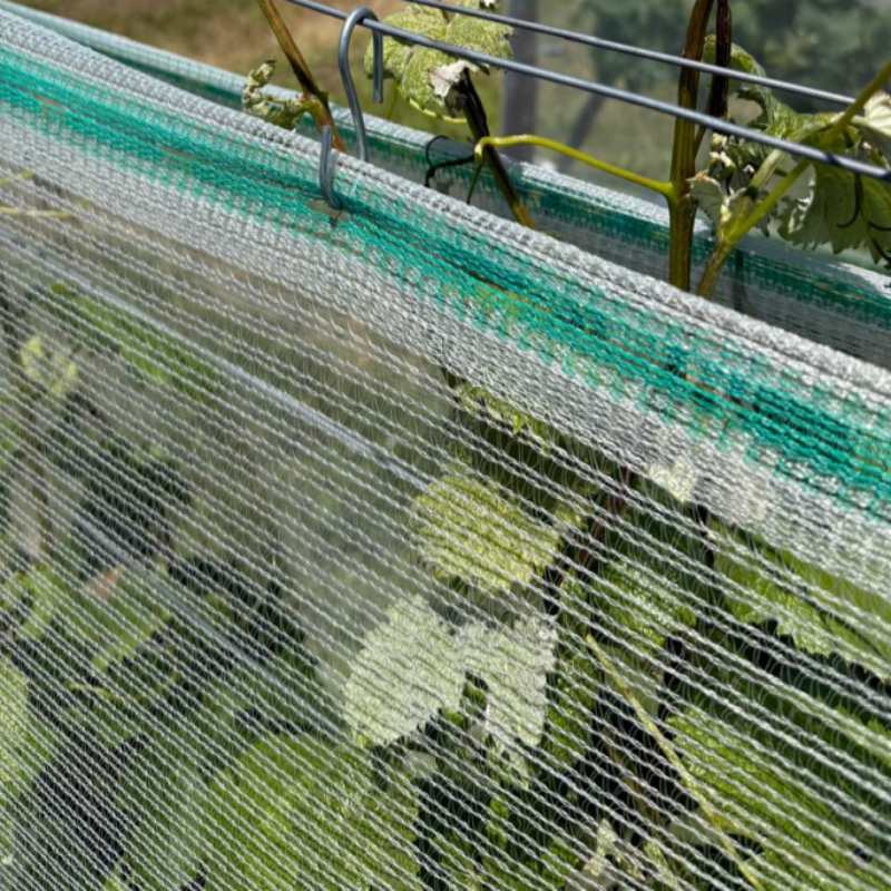 Agricultura HDPE Plasa Antigrindina Agricultura HDPE Plasa Antigrindina