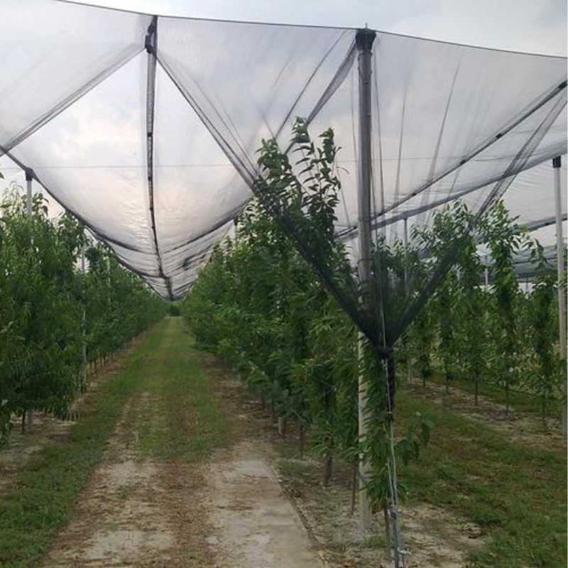 Plasa antigrindina din plastic pentru agricultura