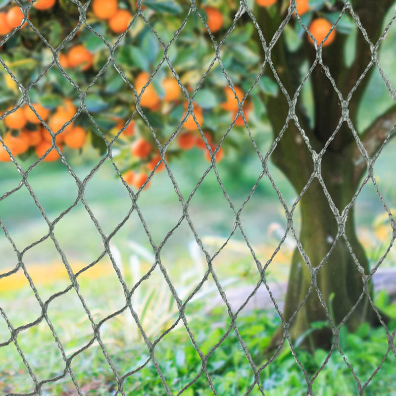 Plase pentru păsări Bariere pentru animale